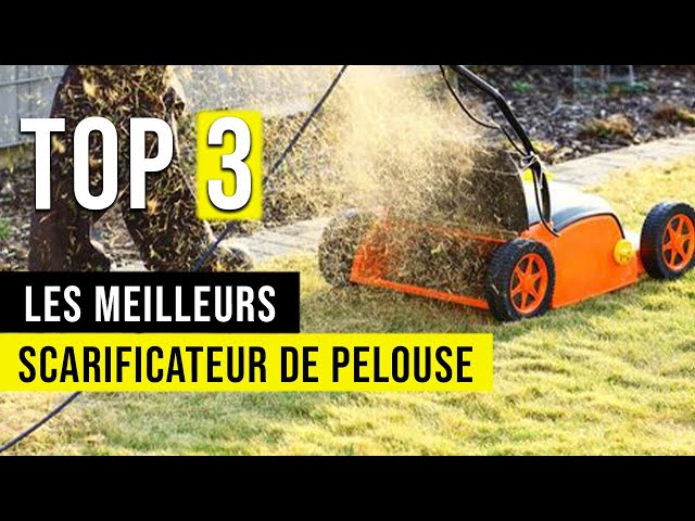 Quel scarificateur pour une belle pelouse ? - Le Parisien