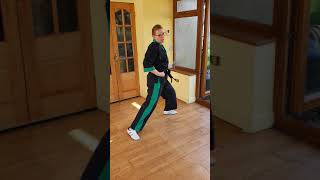 2nd Kup Red belt line work