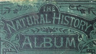 No talking asmr. Can’t sleep? I slowly turn pages to show you oil color images of this 1800s book.