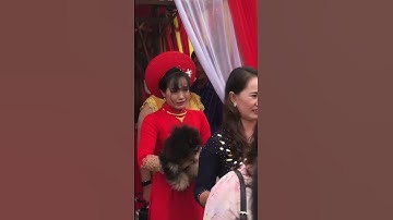 Cô dâu khóc nức nở khi ba mẹ về