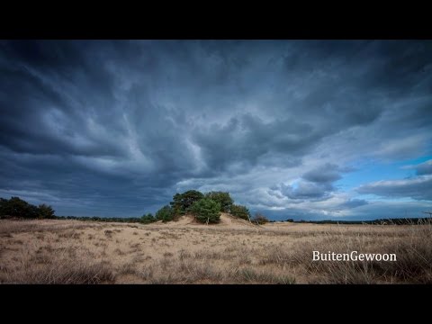 BuitenGewoon op De Veluwe