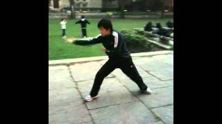 Lian Bu Quan 连步拳 2010