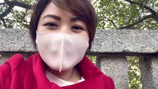 Akhirnya bisa kesini lagi!! || Miyajima Hiroshima Jepang