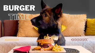 German Shepherd reviews Homemade Burger 🍔