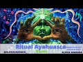 Ritual de ayahuasca  energia xamnica e msica de rezos
