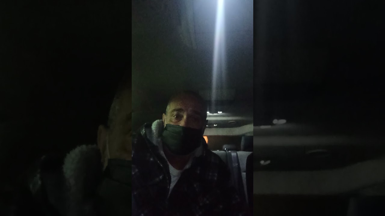 Покемоны празднуют оккупацию Молдовы,Румынией ?