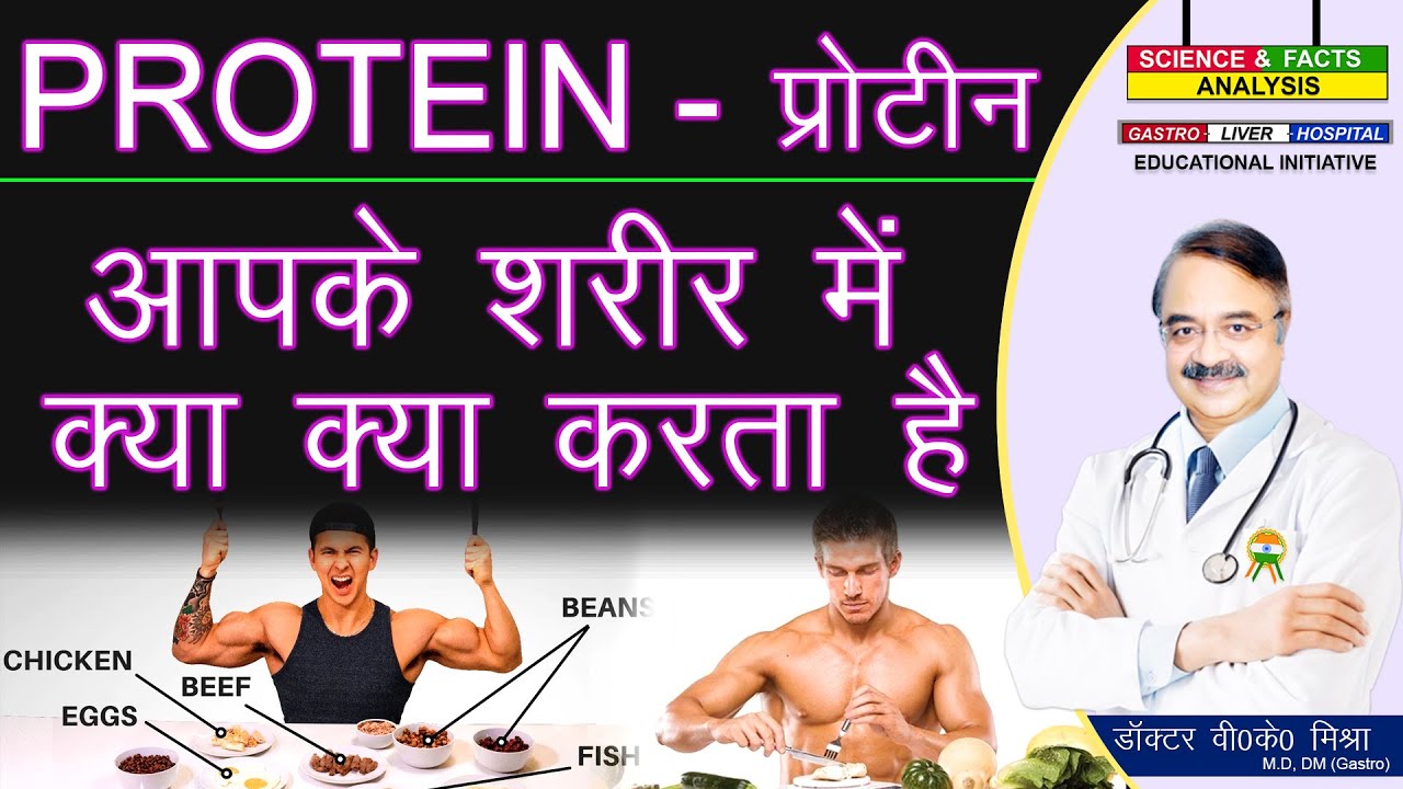 प्रोटीन आपके शरीर में क्या क्या करता है || WHAT PROTEIN DOES FOR YOUR BODY