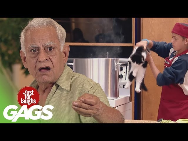Best Cat Pranks