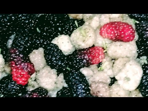 ألوان التوت