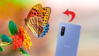 Sony Xperia 10 iii Camera Test - Best Camera