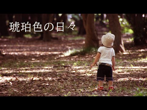 琥珀色の日々 菅原進 ビリーバンバン