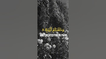 سوره نبأ (1-14) | بشارت آخرت #fyp #برای شما #قرآن #ویدئوی اسلامی #دوئت