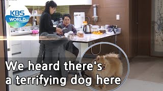 We heard theres a terrifying dog here (Dogs are incredible) | KBS WORLD TV 210310