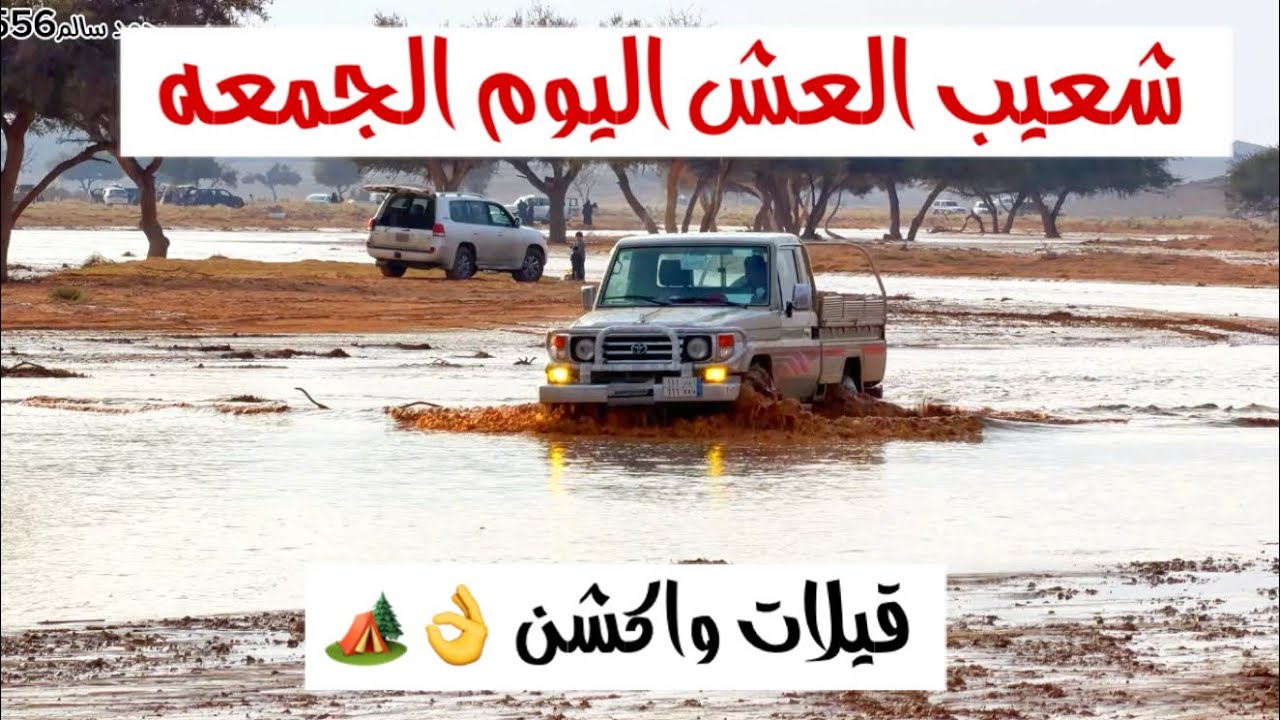 شعيب العش اليوم الجمعه 26/12/2025 - امطار حايل 