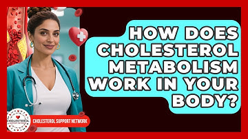 How Does Cholesterol Metabolism Work In Your Body? - Cholesterol Support Network