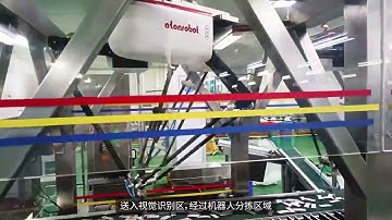 Automatically Sorting of Granular in Sticks in Pharmaceutical by Delta Robot(spider robot).
