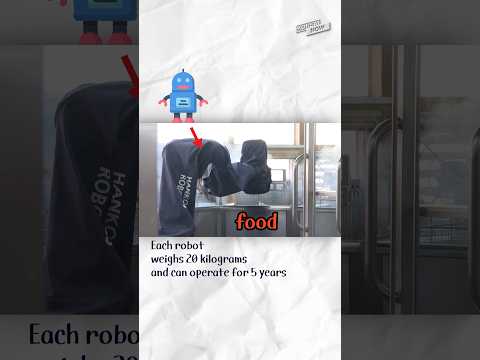 Cooking robots prepare school meals