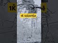 1k̊ s̊ůb̊s̊c̊r̊i̊b̊e̊ 🥰🥰