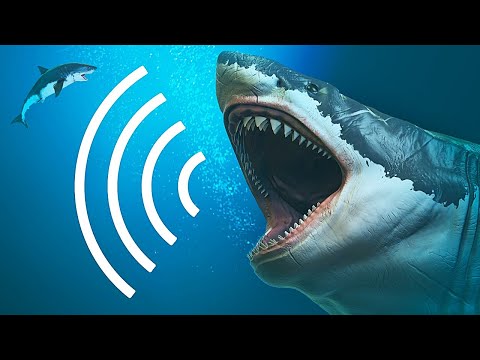 Видео: Что такое звук водного пути?