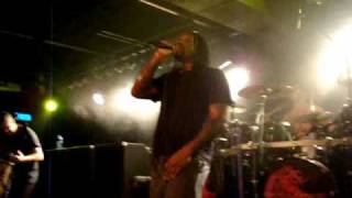 Sepultura - Convicted in Life - Live in Holland