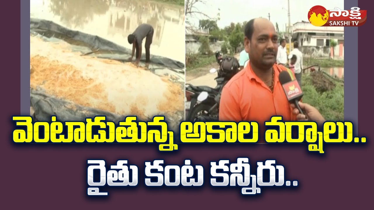 Telangana Farmers Emotional on Crops Damage Due To Heavy Rains ...