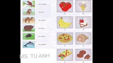 Listening A1+, Flyers 5, Test 1 Part 3