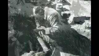 Treasures from the Royal Tombs of Ur