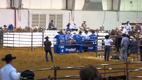 2011 All American Quarter Horse Congress Amateur T...