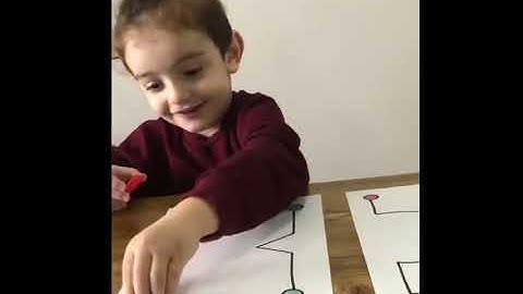 Right Brain & Left Brain Exercise - Montessori Activities