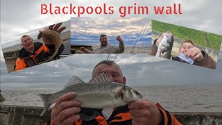 BASS , SOLE AND SPARROW HAWK STRIKE ON  BLACKPOOLS GYNN WALL