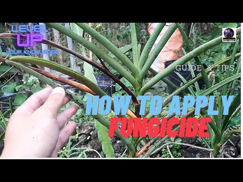 How to Apply Fungicide to your Plants