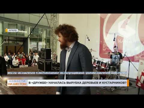 В «Дружбе» началась вырубка деревьев и кустарников
