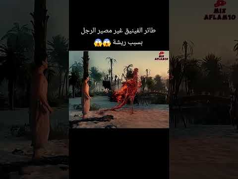 تم انقاذه بسبب طاير الفينيق  اكلتك اكسبلور البخل الرحمن  الجيلي اهميه قصص الورقات