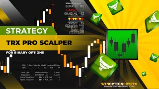 Strategy for binary options TRX Pro Scalper