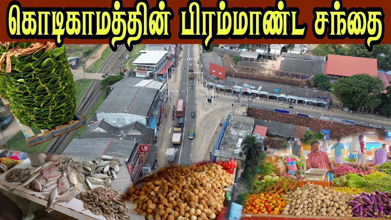 🛑  கொடிகாமத்தில் பலகோடியில் உருவான சந்தை மனமுடைந்த வியாபாரிகள்