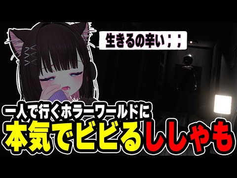 【ホラゲー】一人でホラーに挑むもクリアできなかったししゃも【VRCHAT】