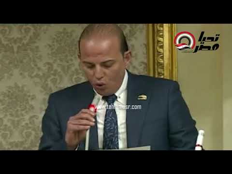 النائب عمرو القطامي يؤدي اليمين الدستورية بمجلس النواب