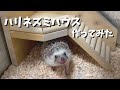 【ハリネズミ】ロフト付きの小屋を作ってプレゼントしたらこうなりましたI made a hedgehog house【DIY】