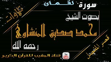 القرآن الكريم - بقصر المنفصل - سورة لقمان - بصوت الشيخ محمد صديق المنشاوي رحمه الله  .