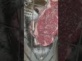 Tiger Eating Raw Meat Part 1