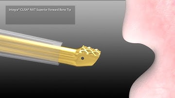 cusa nxt bone tips animation