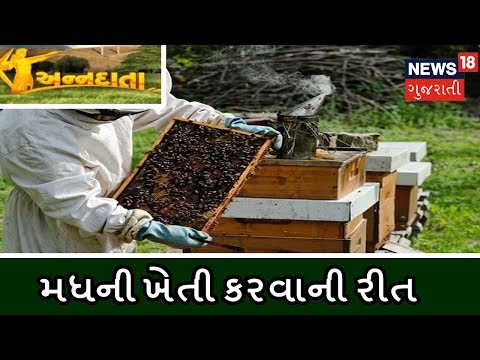 મધમાખી ઉછેર: મધની ખેતી કરવાની રીત । ANNADATA | News18 Gujarati