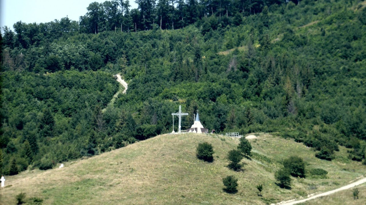 Bătălia de la Borta Dracului (3-16 iunie 1944) - 7 - Luptele din satul Nemțișor (zona Târgu Neamț)