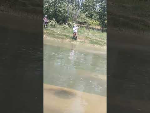 لذت ماهیگیری در رودخانه سفید رود