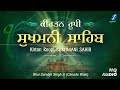 Kirtan roopi sukhmani sahib path in love with gurubani vibes 