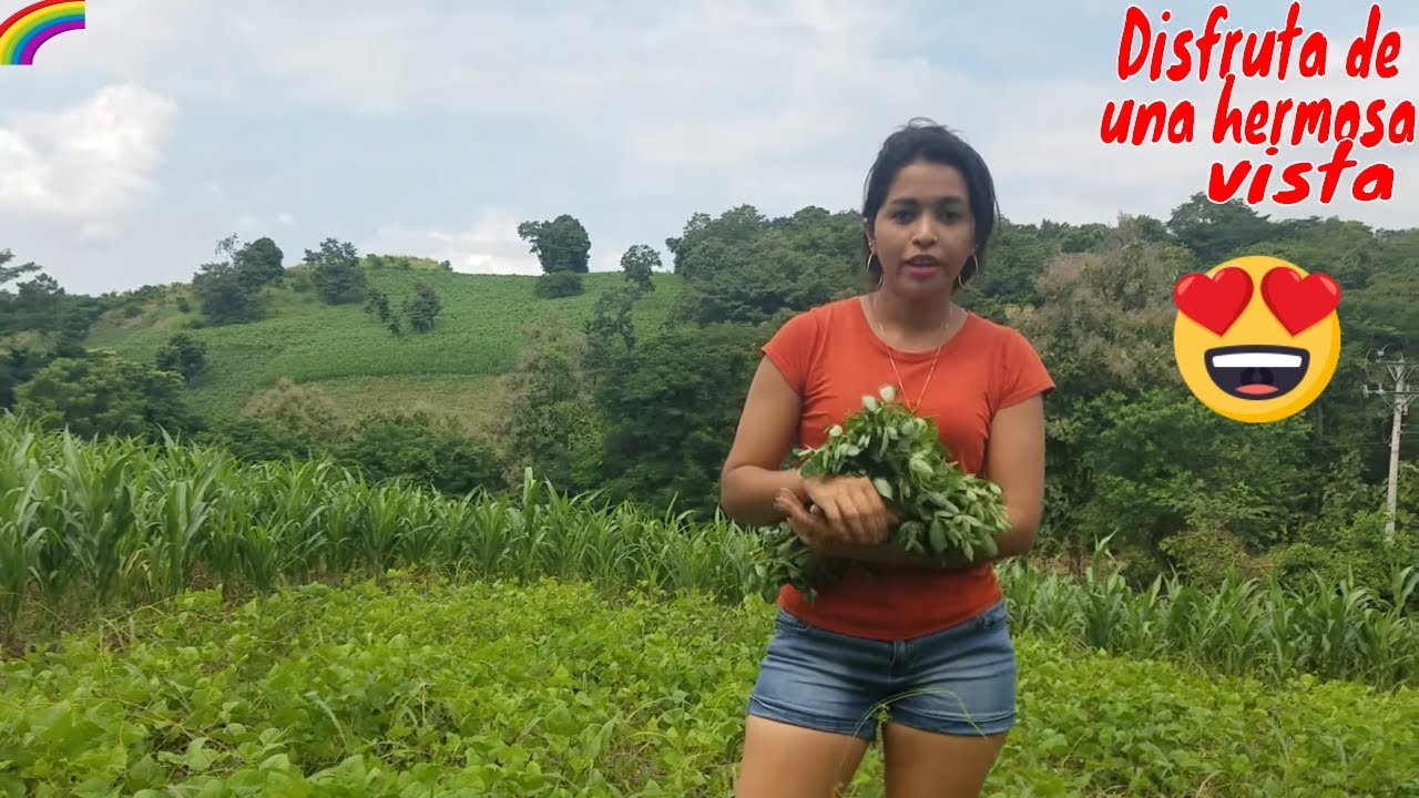 roxana ac odyssey Cortando chipilin(Angela)