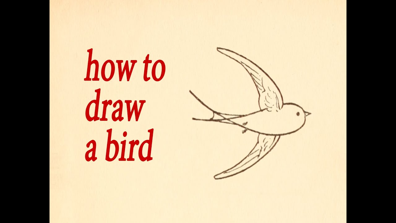 Flyng bird. What to draw and how to do it: Bird - YouTube