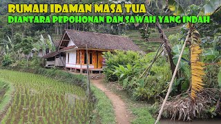 Pohon Sekeliling Rumah Memberikan Kesejukan Kepada Penghuninya. Sejuk Dan Bikin Betah..