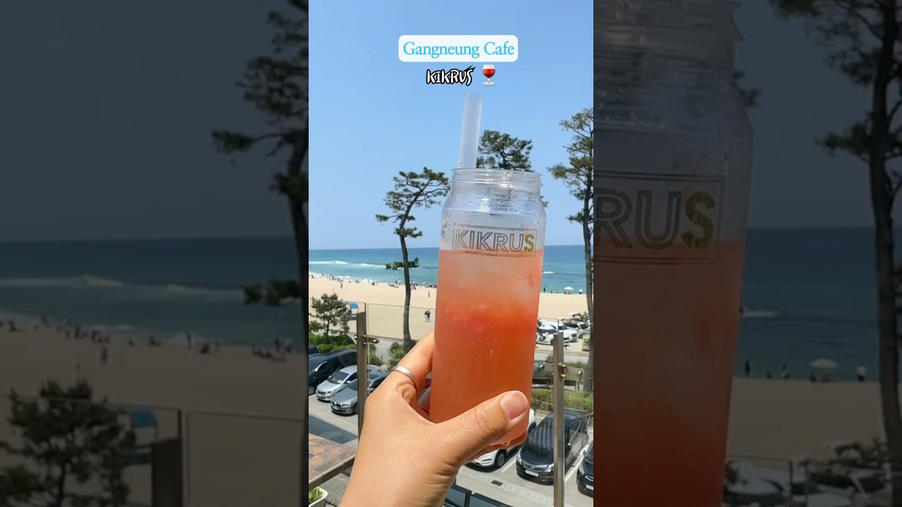 강릉당일치기여행✨ 