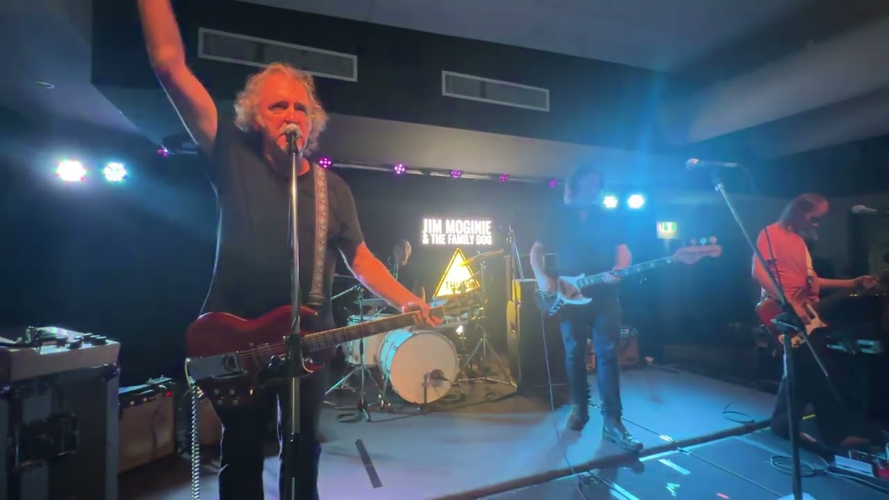 My Advice To You - Jim Moginie and the Family Dog